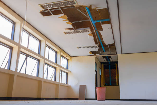 Best Ceiling water damage repair  in Elberton, GA