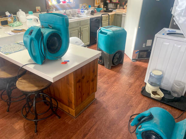 Best Professional water damage repair  in Elberton, GA