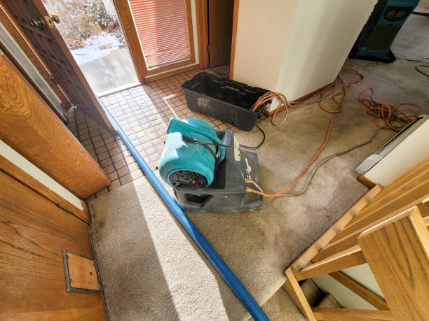 Best Residential water damage restoration  in Elberton, GA