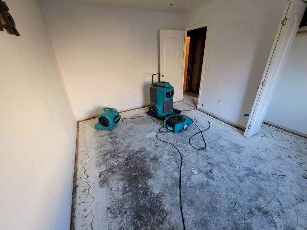  Elberton, GA Water damage restoration Pros