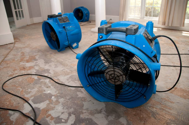 Best Fire Damage Restoration  in Elberton, GA