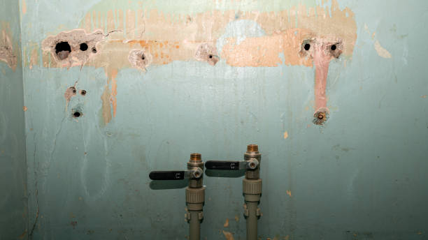 Best Flooded house restoration  in Elberton, GA