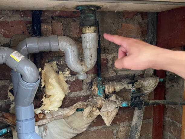 Best Water damage restoration near me  in Elberton, GA
