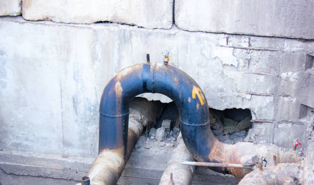 Best Water damage contractors near me  in Elberton, GA