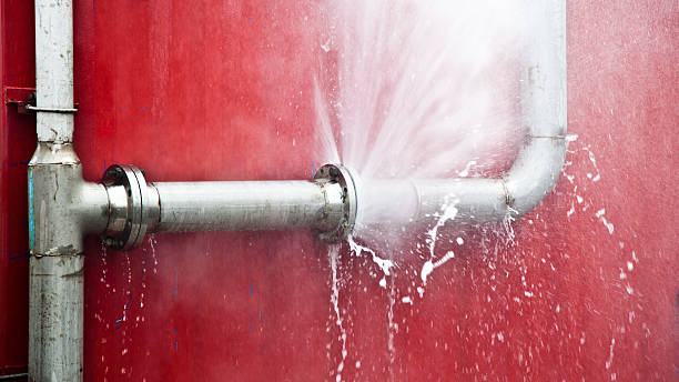 Best Flooded house restoration  in Elberton, GA